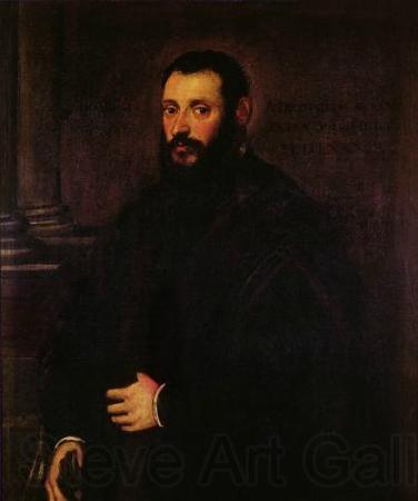 Jacopo Tintoretto Portrait of Nicolaus Padavinus Spain oil painting art